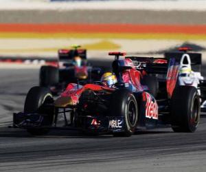 Puzzle Sebastien Buemi - Toro Rosso - Μπαχρέιν 2010